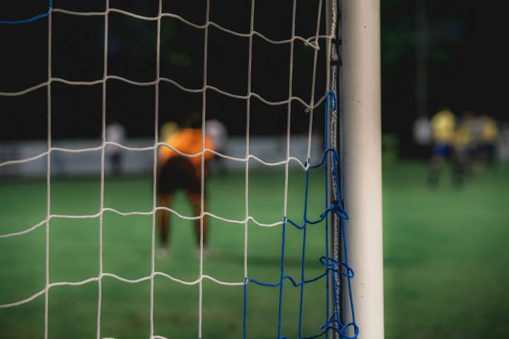 法国队团结稳定冲击大力神杯